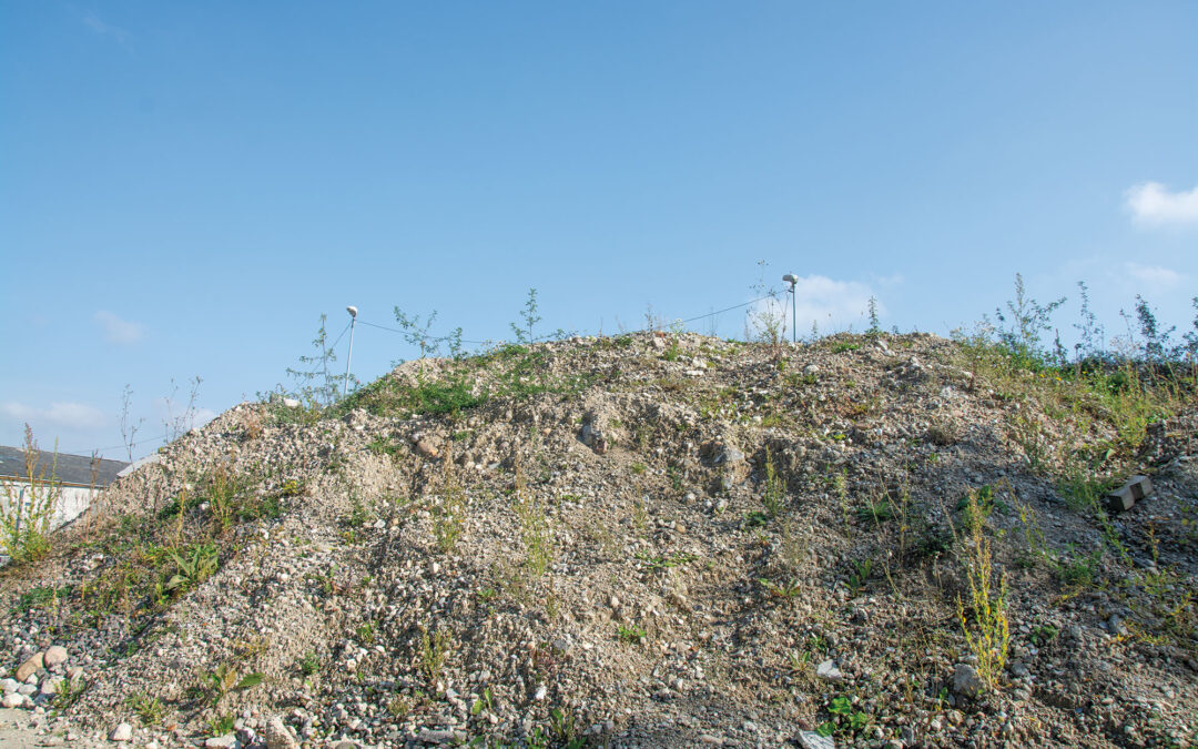Et hattrick for bæredygtighed