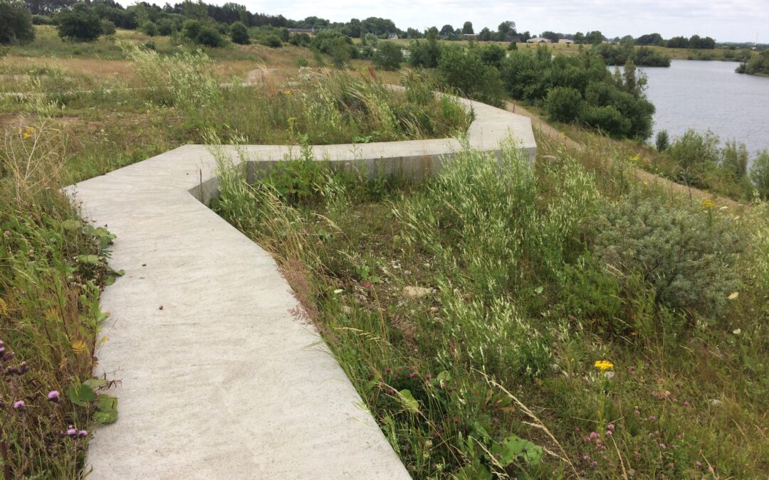 Nyt liv til gammel grusgrav