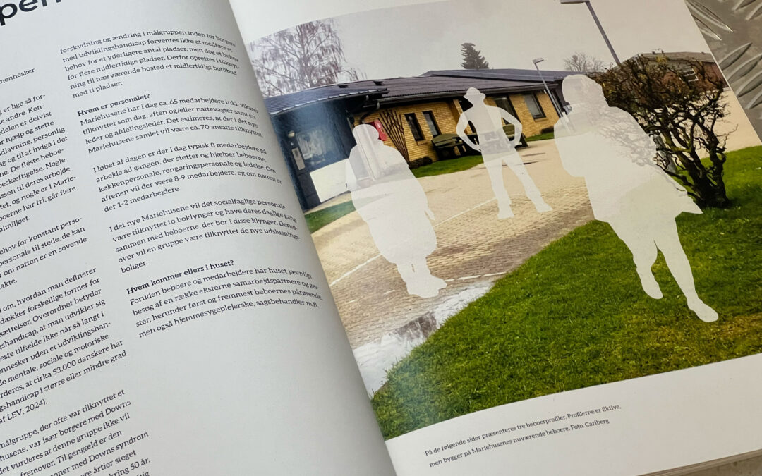 Visionsprogram for et nyt Mariehusene